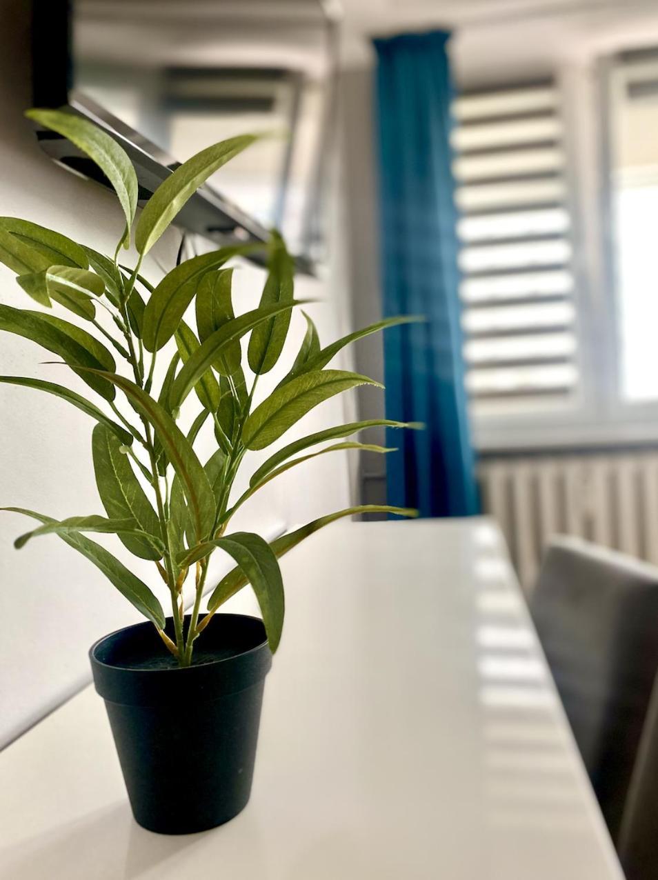 Doba Rent Pokoje Centrum Palacowa Белосток Экстерьер фото